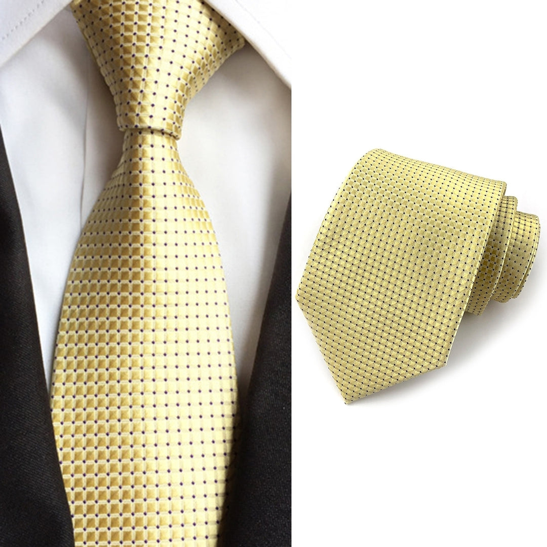 Men Tie Exquisite All Match Accessory Gentleman Plaid Business Tie for Banquet Image 12