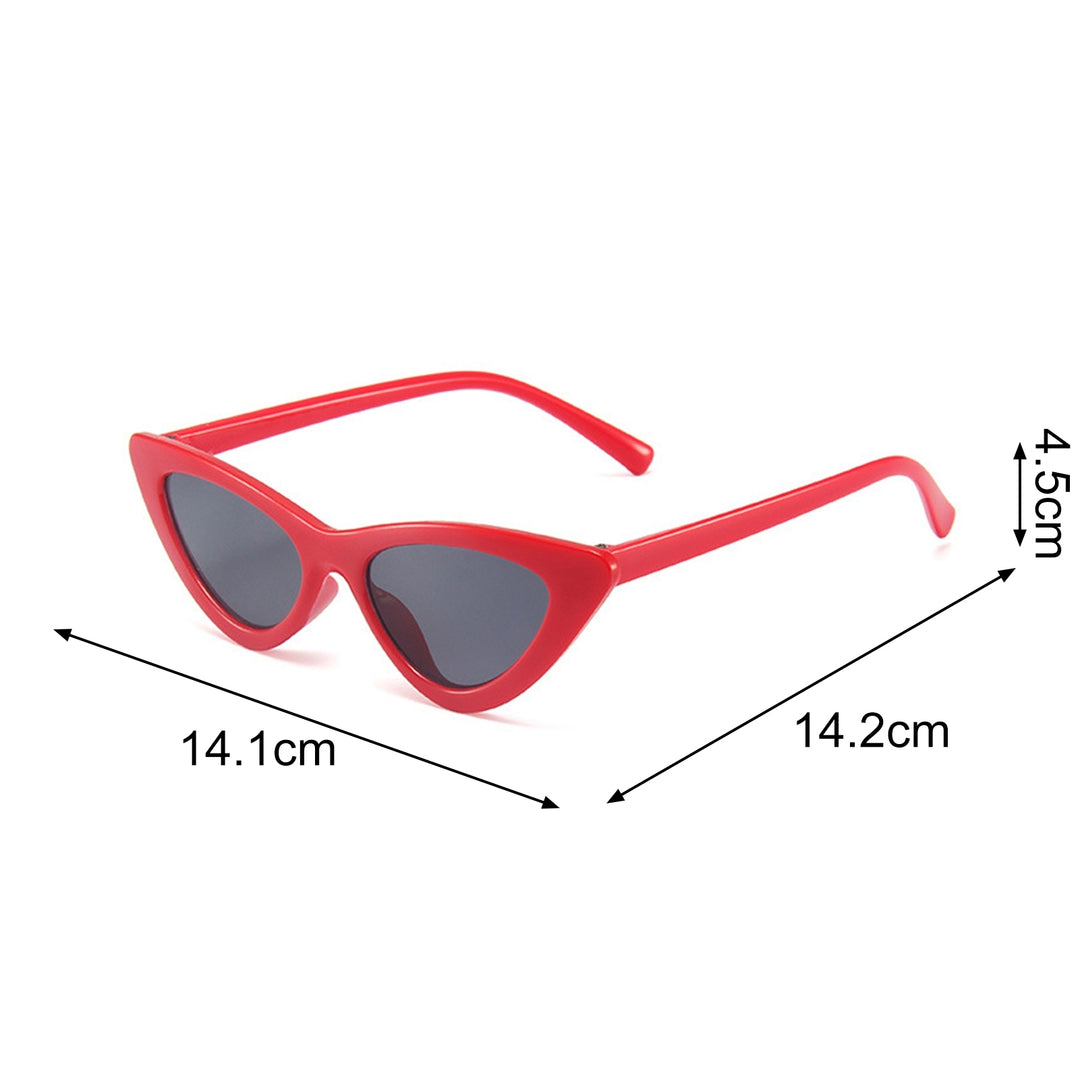 Women Sunglasses Eye-catching Solid Construction Plastic Fashionable Women Small Frame Sunglasses for Summer Image 9