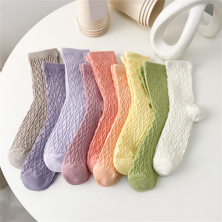 10 Pairs Women Stocking Solid Color Breathable Cotton Candy Color Rough Surface Ankle Socks Daily Clothes Image 1