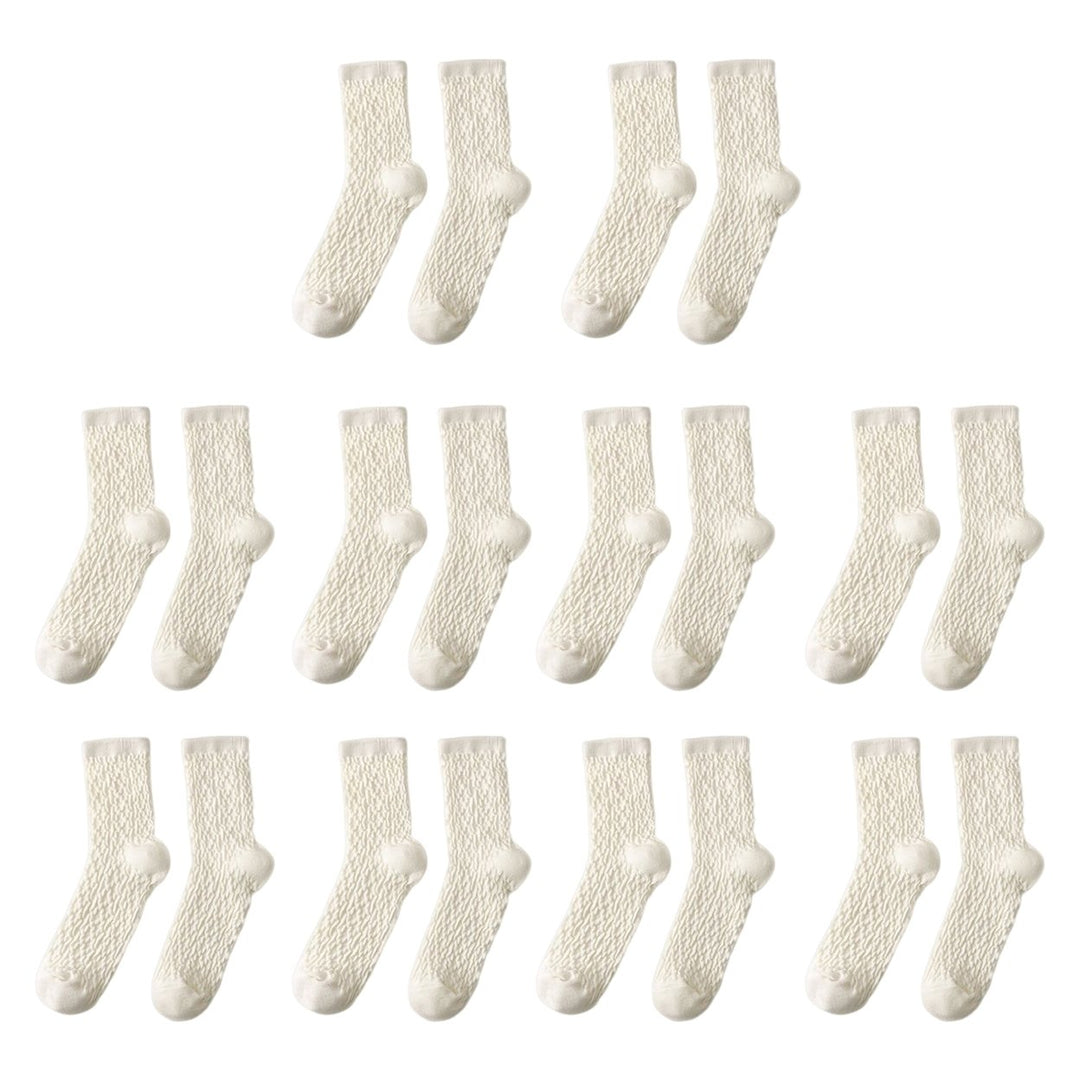 10 Pairs Women Stocking Solid Color Breathable Cotton Candy Color Rough Surface Ankle Socks Daily Clothes Image 1