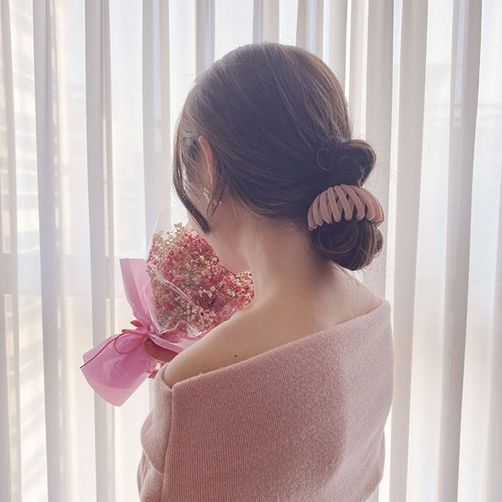 Bun Hair Claw Solid Color Bird Net Shape Plastic Expanding Exquisite Hairpin Hair Accessories Image 10