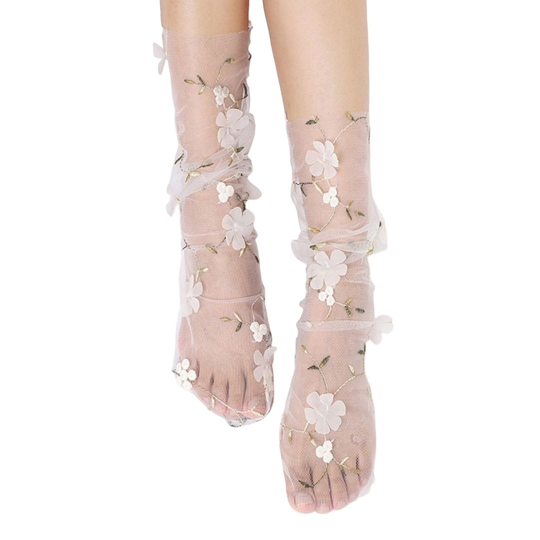 1 Pair Pile Socks Elegant Transparent Nylon Less Wear Floral Lace Socks Photo Props Image 1