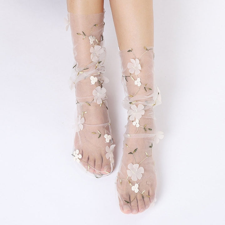 1 Pair Pile Socks Elegant Transparent Nylon Less Wear Floral Lace Socks Photo Props Image 8