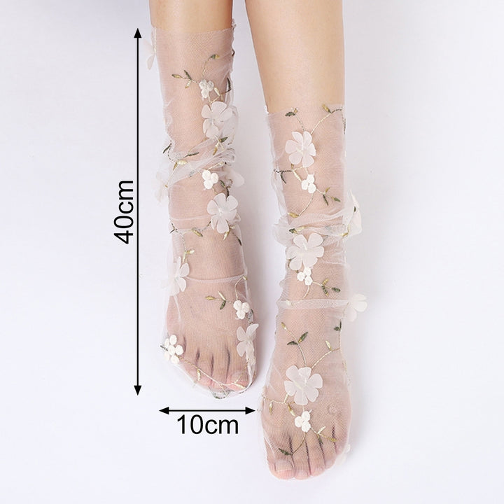 1 Pair Pile Socks Elegant Transparent Nylon Less Wear Floral Lace Socks Photo Props Image 10