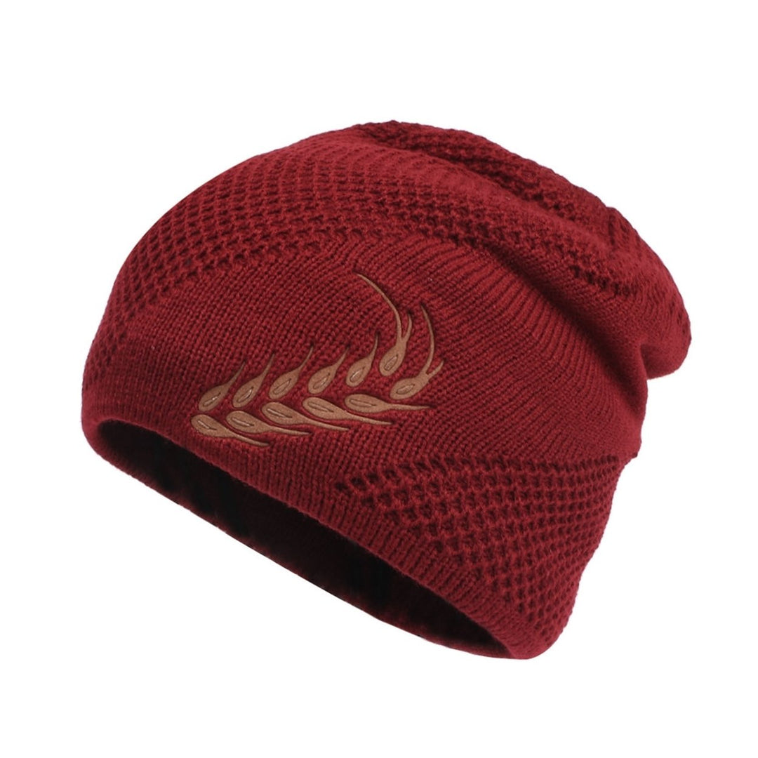 Winter Hat Stretchy Thick All Match Yarn Embroidered Wheat Fleece Fleece Cap for Daily Life Image 1