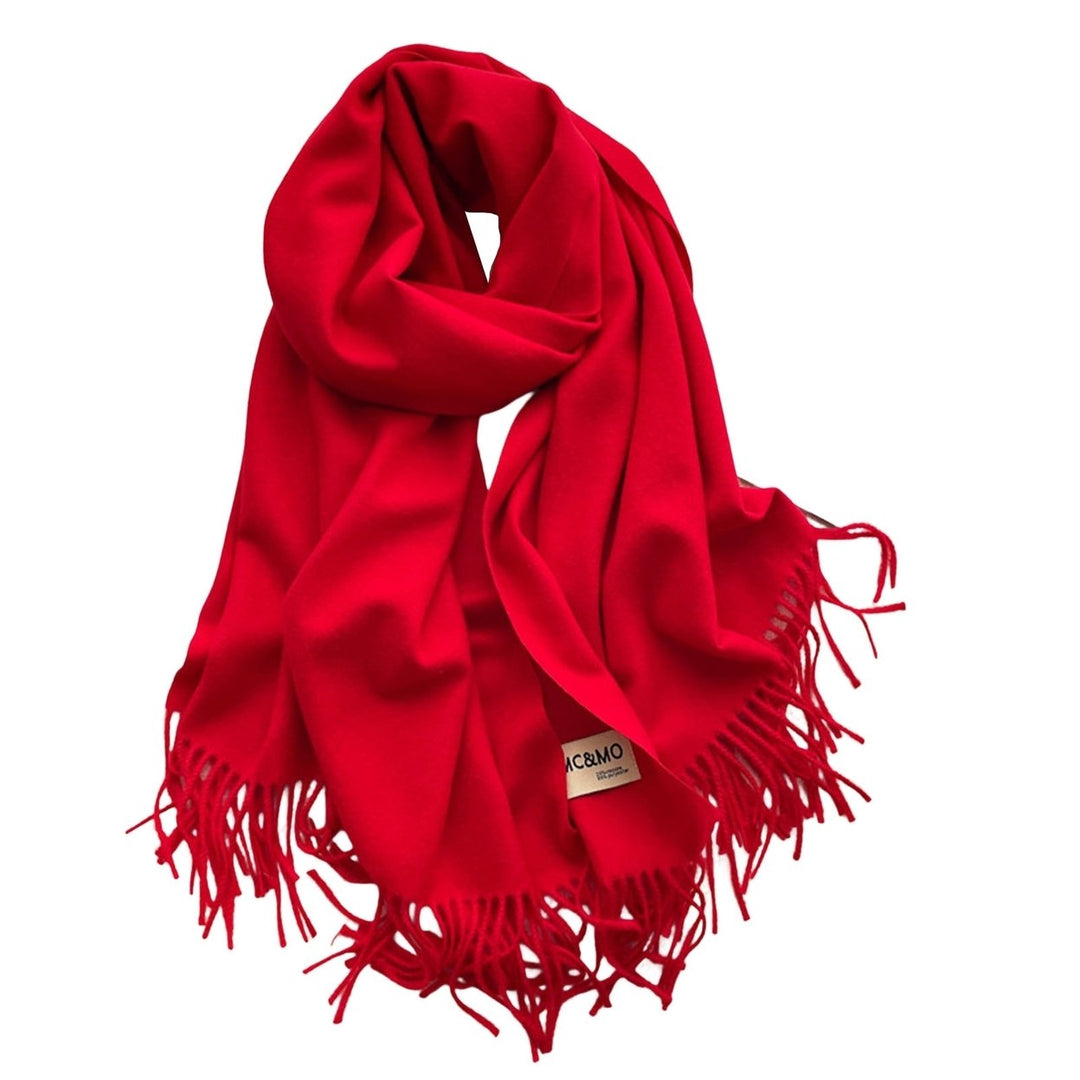 Scarf Shawl Tassel Design Thick Super Soft Pashmina Comfortable Keep Warm Solid Color Women Large Soft Imitation Image 1