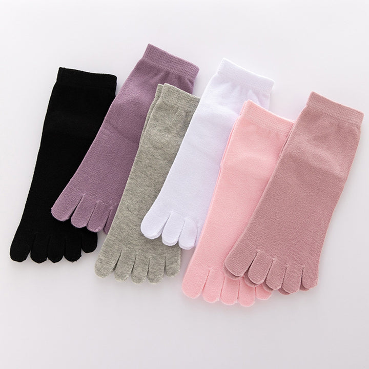 1 Pair Mid Tube Socks Sweat Absorption Breathable Soft Solid Color High Elasticity Keep Warm Non-Slip No Odor Image 11