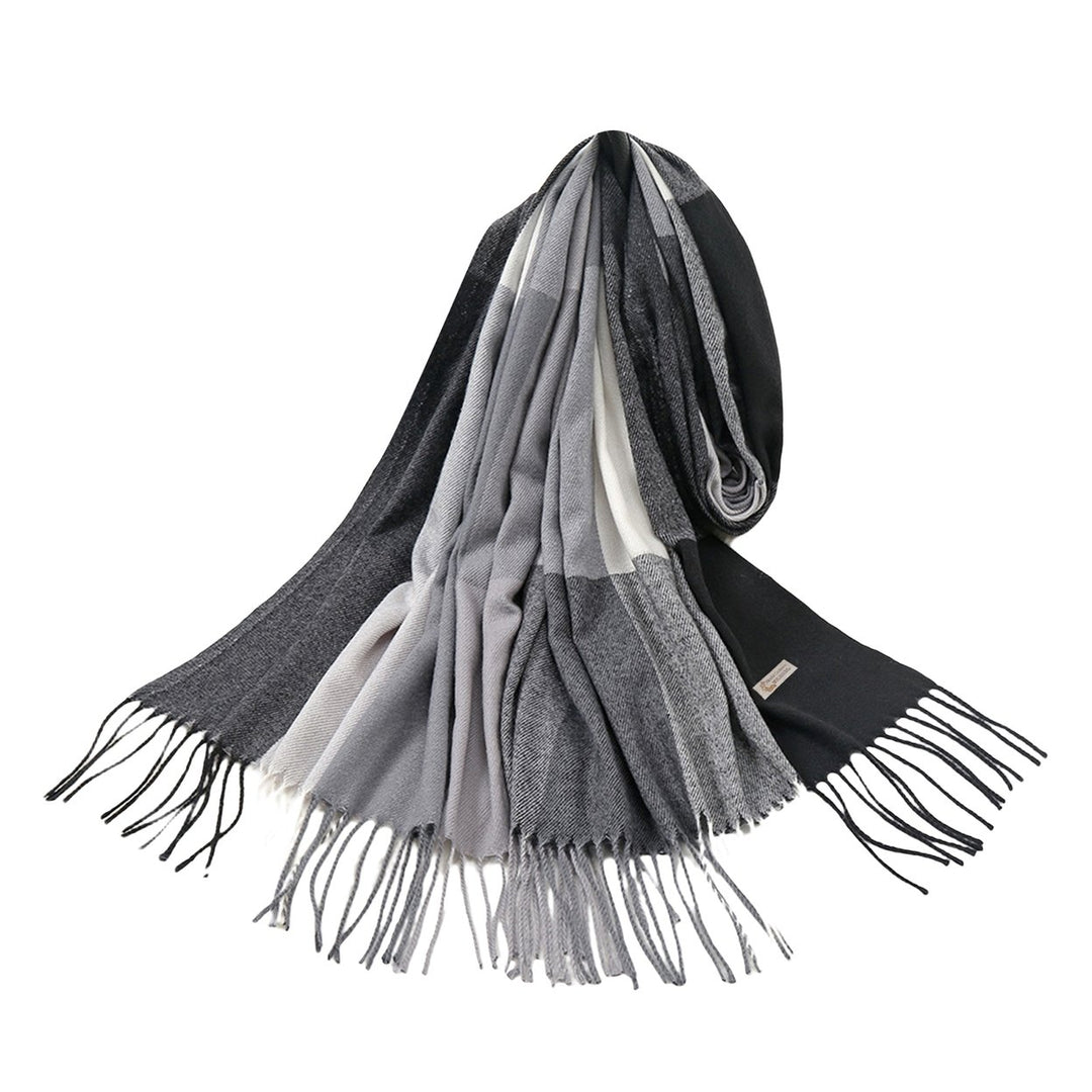 Women Shawl Color Block Tassels Fine Touch Fringe Imitation Cashmere Windproof Long Thermal Scarf Wrap for Spring Autumn Image 1