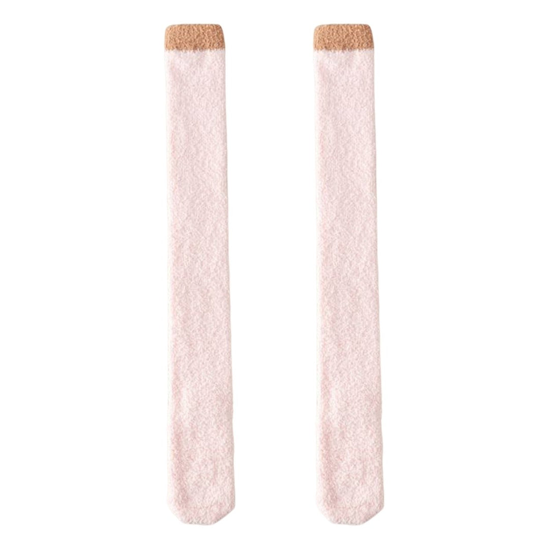 1 Pair Women Coral Fleece Stockings Thigh High Plush Thermal Socks Autumn Winter Long Tube Stockings for Daily Wear Image 1