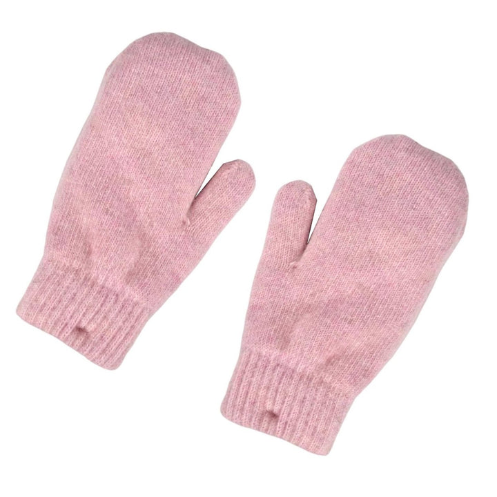 1 Pair Korean Style Double-layer Thickened Solid Color Women Mittens Winter Warm Knitting Plush Gloves Image 1