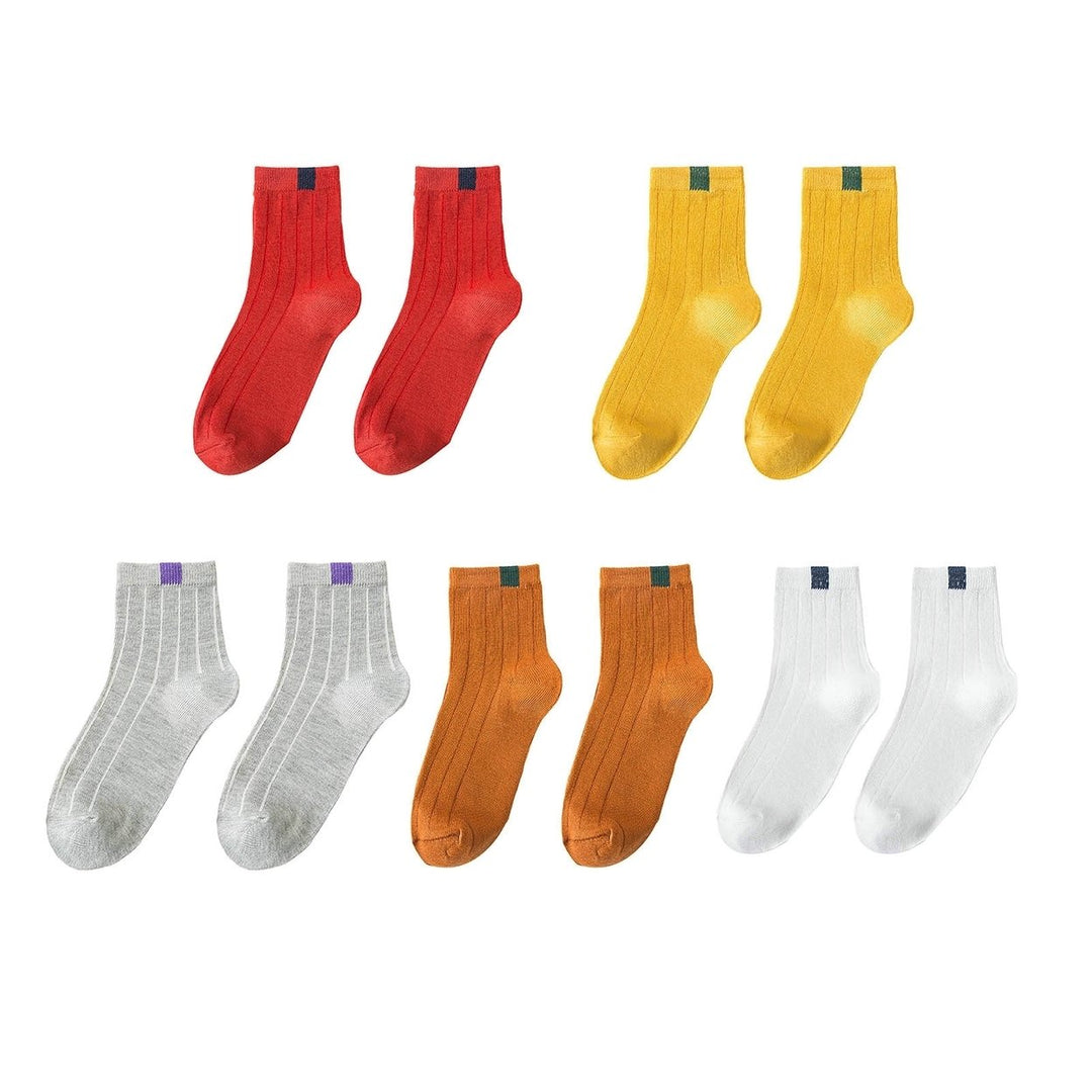 5 Pairs Ribbed Low Tube Elastic Women Socks Simple Casual Solid Color Knitting Short Socks Image 1