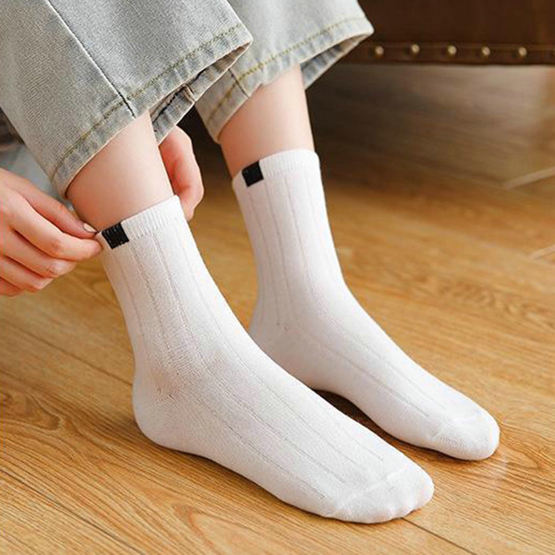 5 Pairs Ribbed Low Tube Elastic Women Socks Simple Casual Solid Color Knitting Short Socks Image 4
