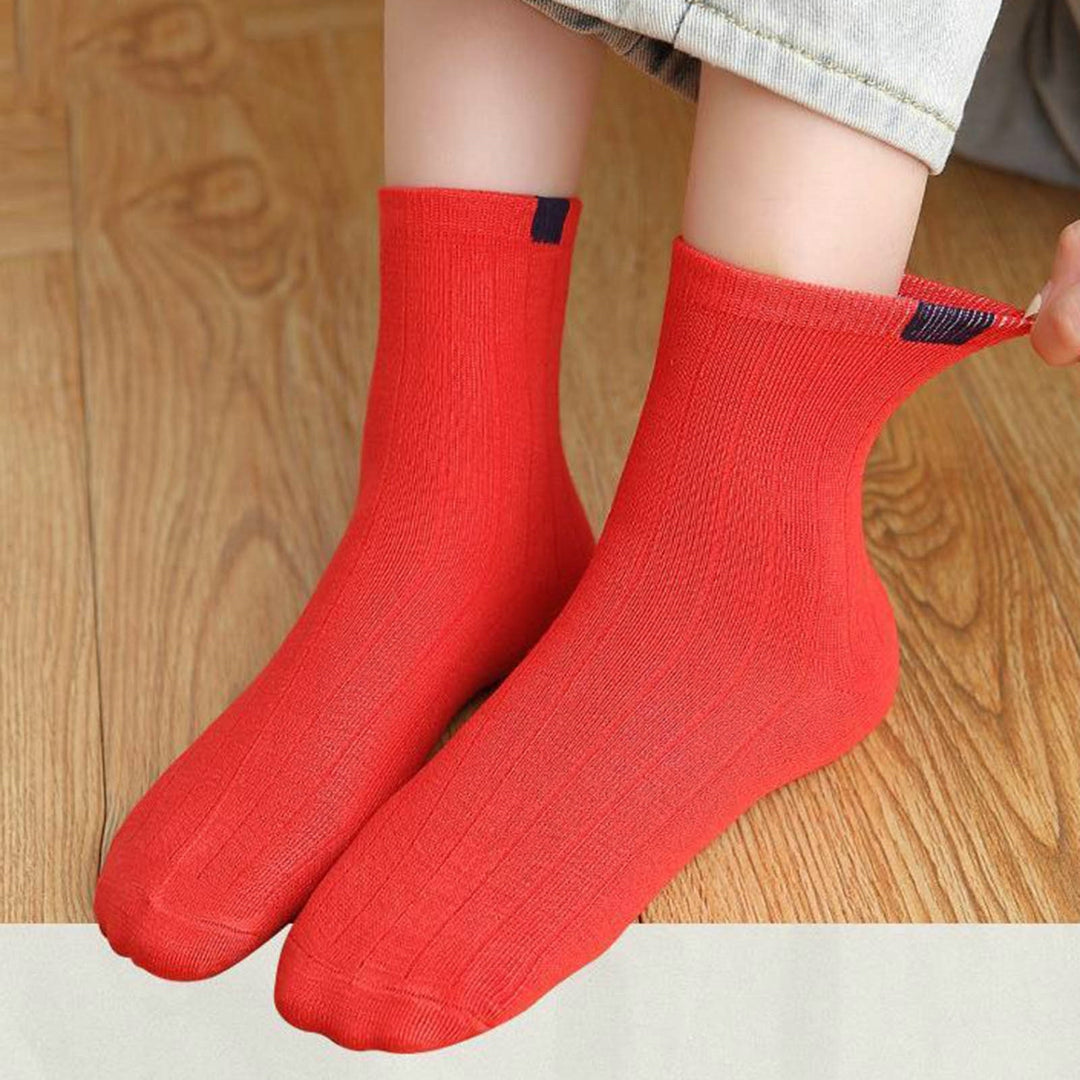 5 Pairs Ribbed Low Tube Elastic Women Socks Simple Casual Solid Color Knitting Short Socks Image 10