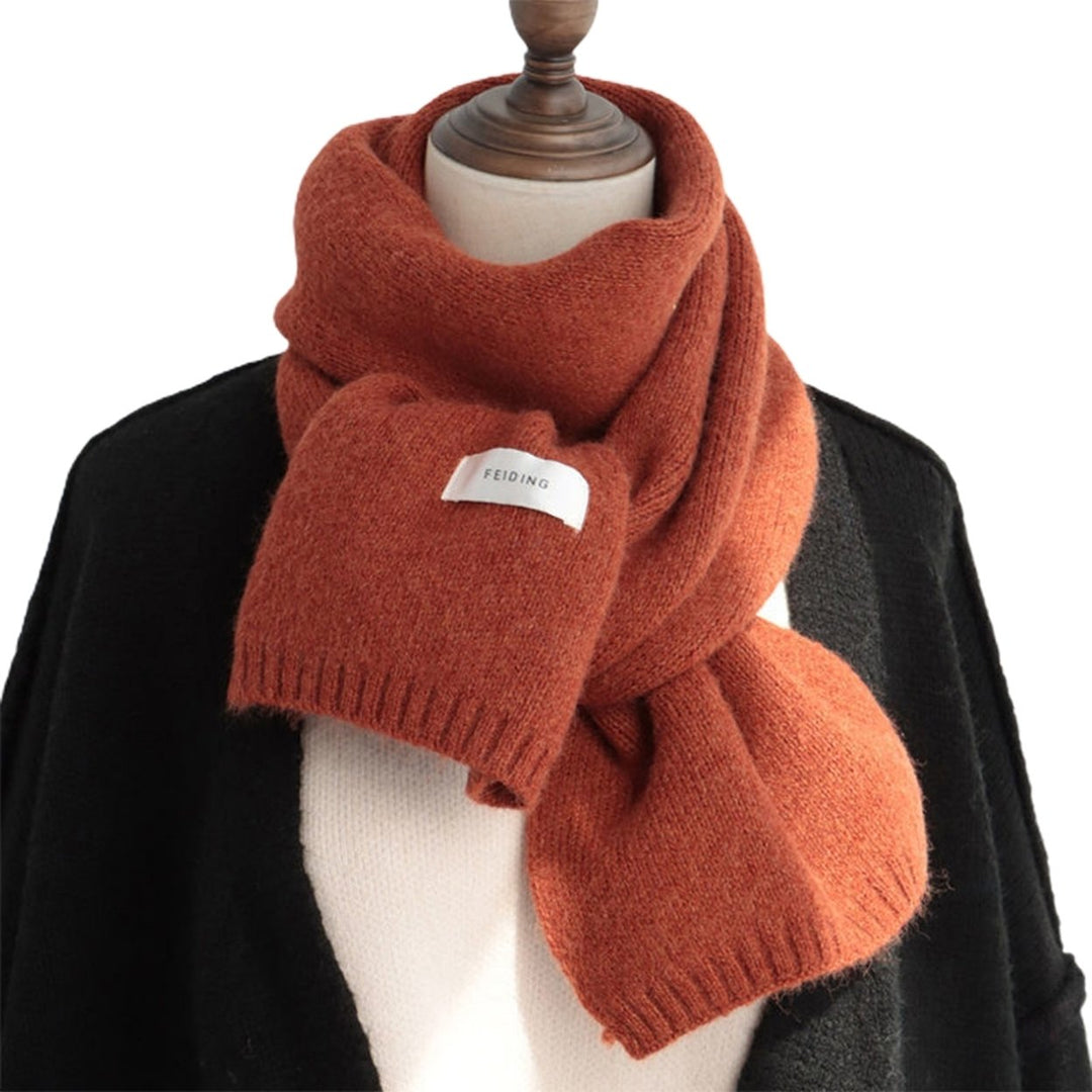 Women Scarf Solid Color Labeling Thickened Long Stretch Imitation Cashmere Windproof Knitted Neck Scarf Streetwear Image 1