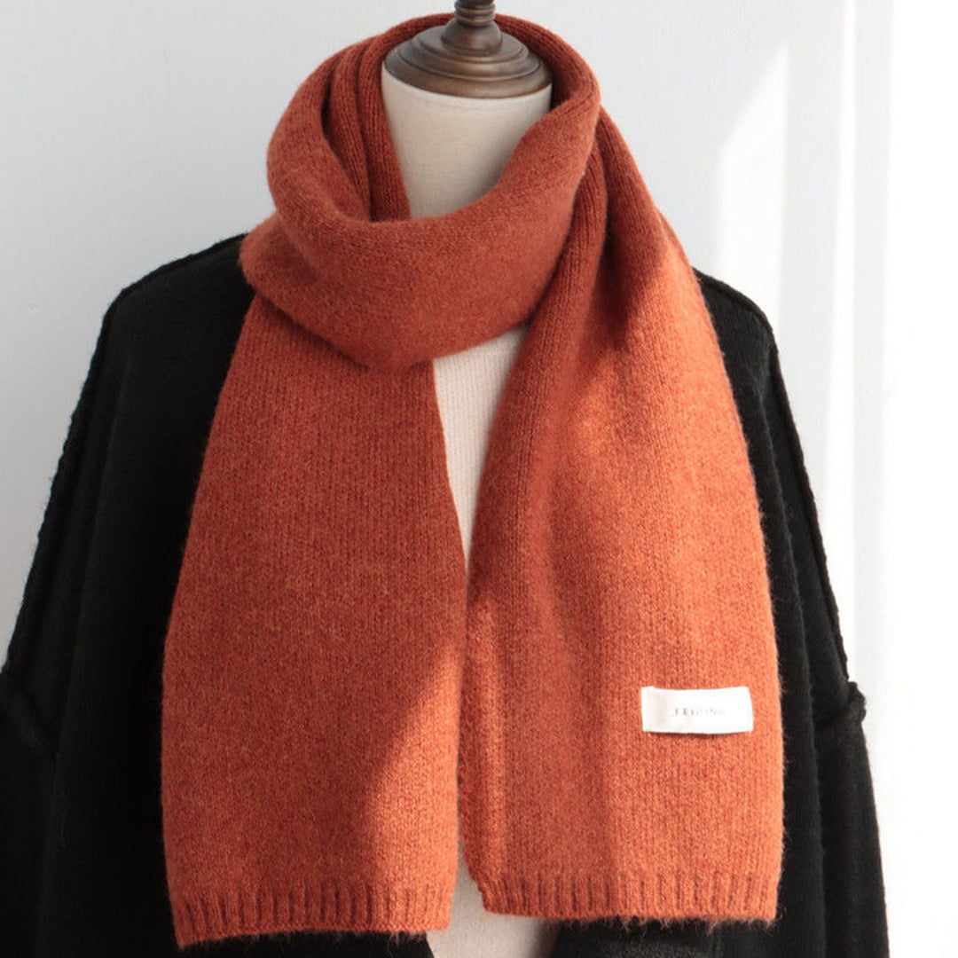 Women Scarf Solid Color Labeling Thickened Long Stretch Imitation Cashmere Windproof Knitted Neck Scarf Streetwear Image 7