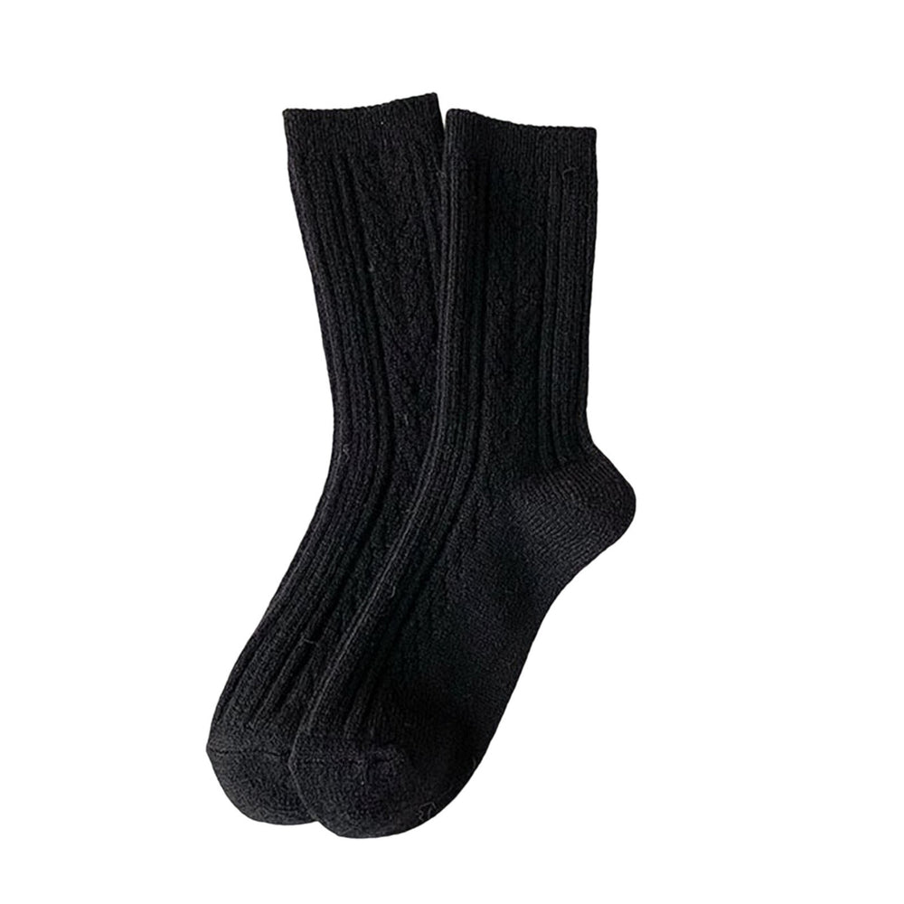 1 Pair Twist Pattern Mid-tube Thickened Fleece Lining Women Socks Winter Simple Casual Solid Color Sports Socks Image 2