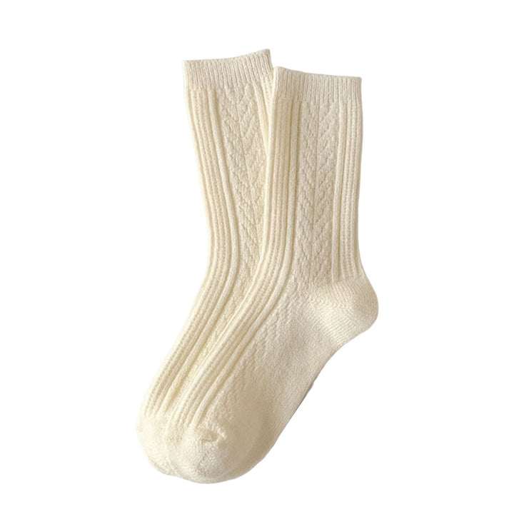 1 Pair Twist Pattern Mid-tube Thickened Fleece Lining Women Socks Winter Simple Casual Solid Color Sports Socks Image 3