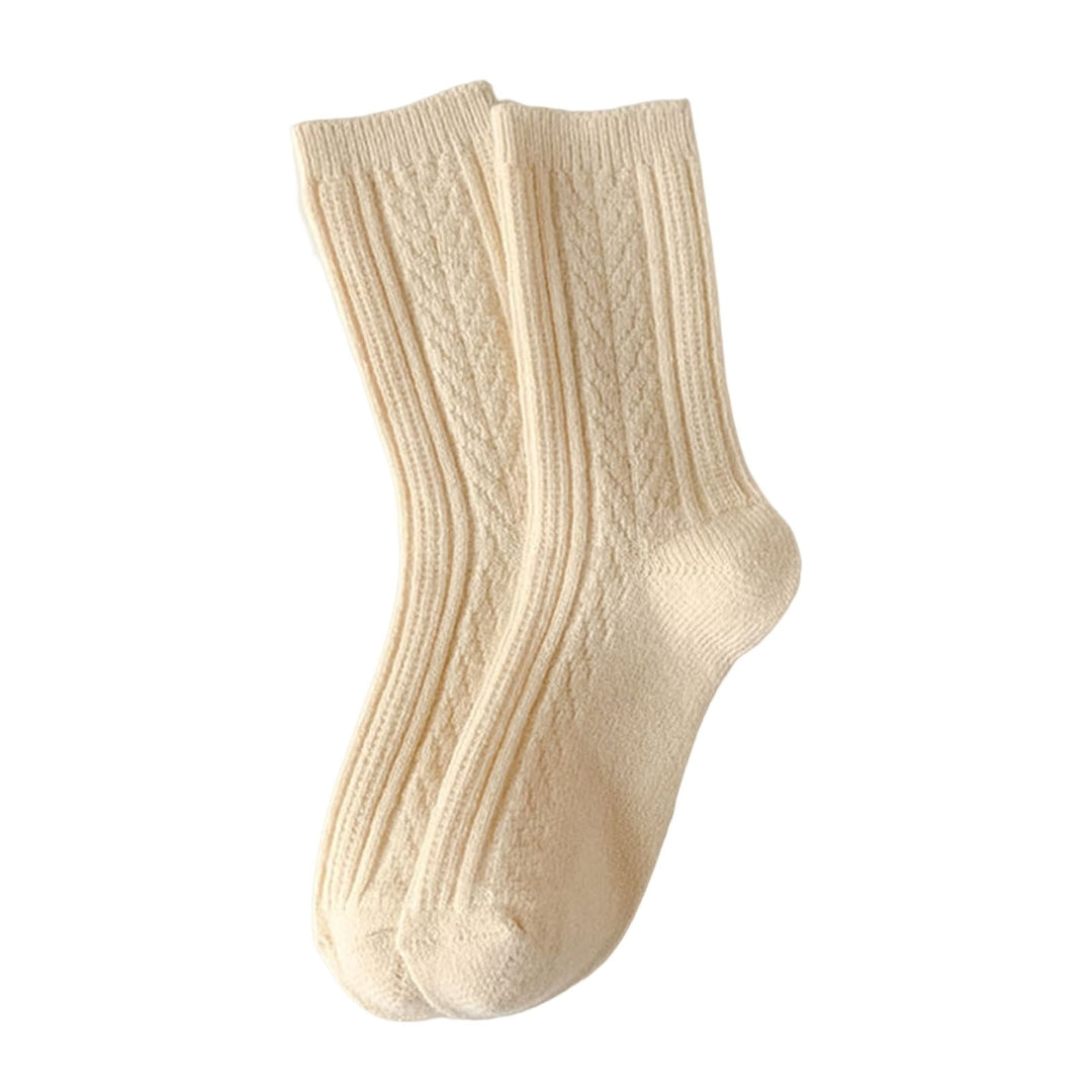 1 Pair Twist Pattern Mid-tube Thickened Fleece Lining Women Socks Winter Simple Casual Solid Color Sports Socks Image 4