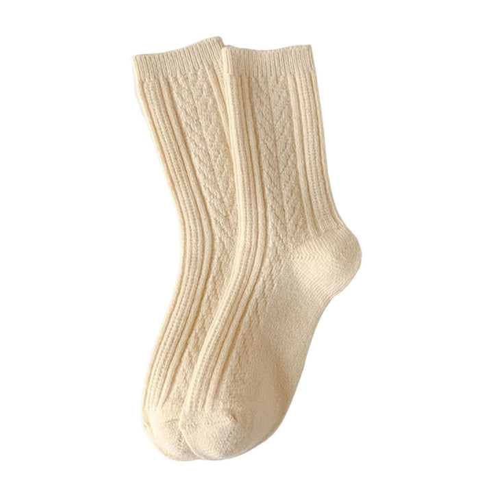 1 Pair Twist Pattern Mid-tube Thickened Fleece Lining Women Socks Winter Simple Casual Solid Color Sports Socks Image 1