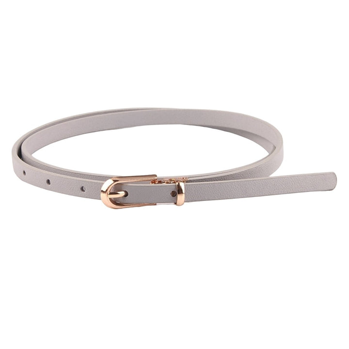 Adjustable Multi Holes Women Belt Faux Leather Alloy Buckle Thin Belt Clothes Ornament Image 1