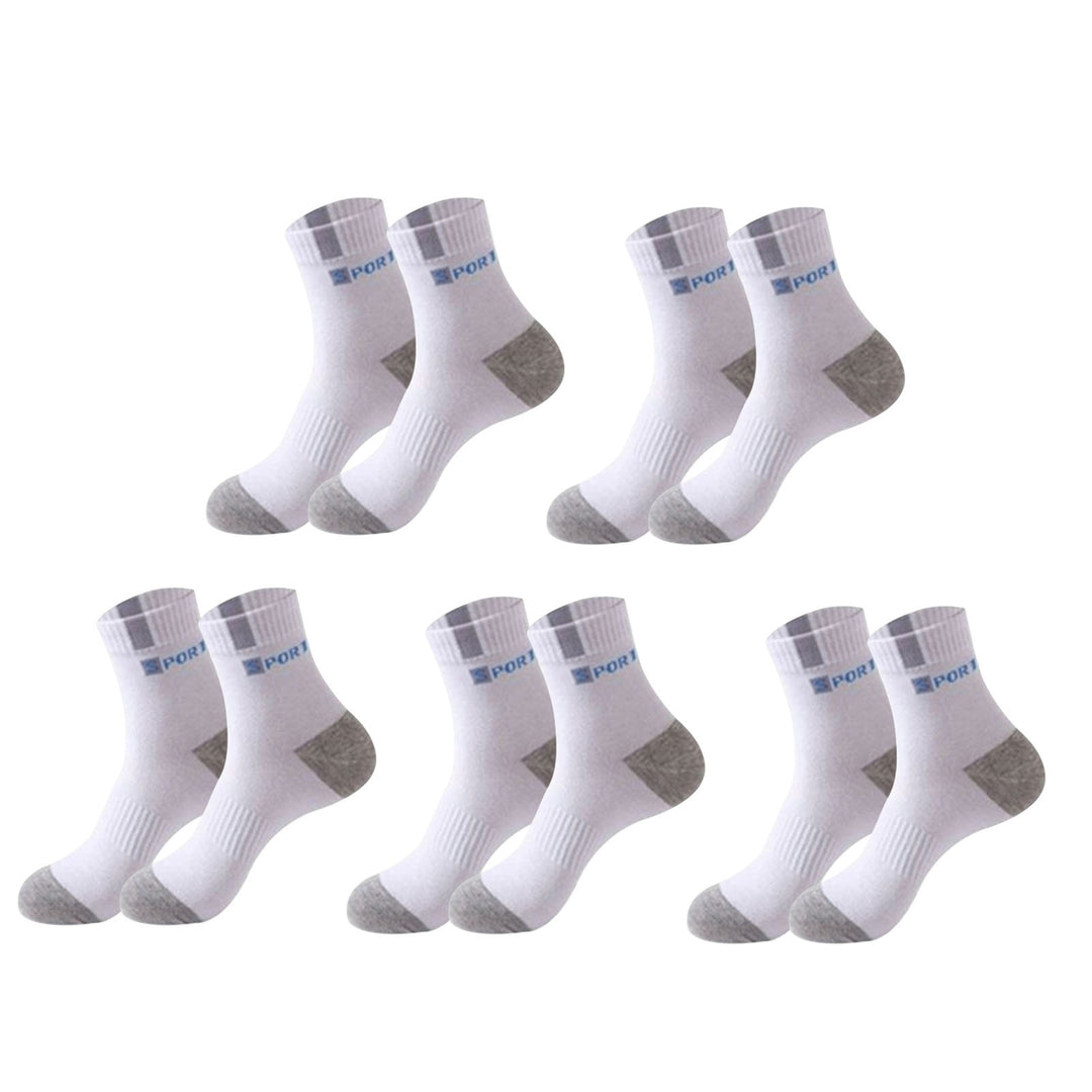 5 Pairs Sports Socks Breathable Sweat Absorption Letter Printed Mid-Tube Soft Socks Sports Wear Bouncy Summer Outdoor Image 3