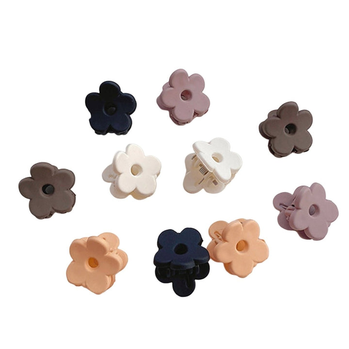 10Pcs/Set Women Hair Clip Boxed Solid Color Butterflies Semi-circle Flower Triangle Non-slip Mini Ladies Bang Side Hair Image 4