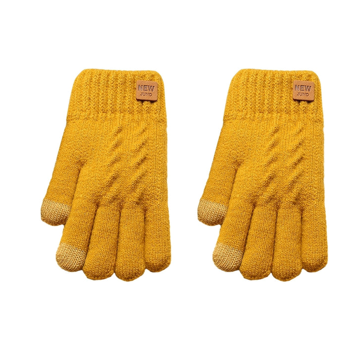 1 Pair Women Winter Solid Color Knitting Gloves Loge Pattern Double Layer Thickened Cuffs Gloves Touch Screen Fleece Image 3