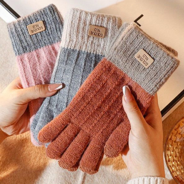 1 Pair Unisex Winter Gloves Thick Touch Screen Windproof Plush Knitted Color Matching Elastic Warm Image 1