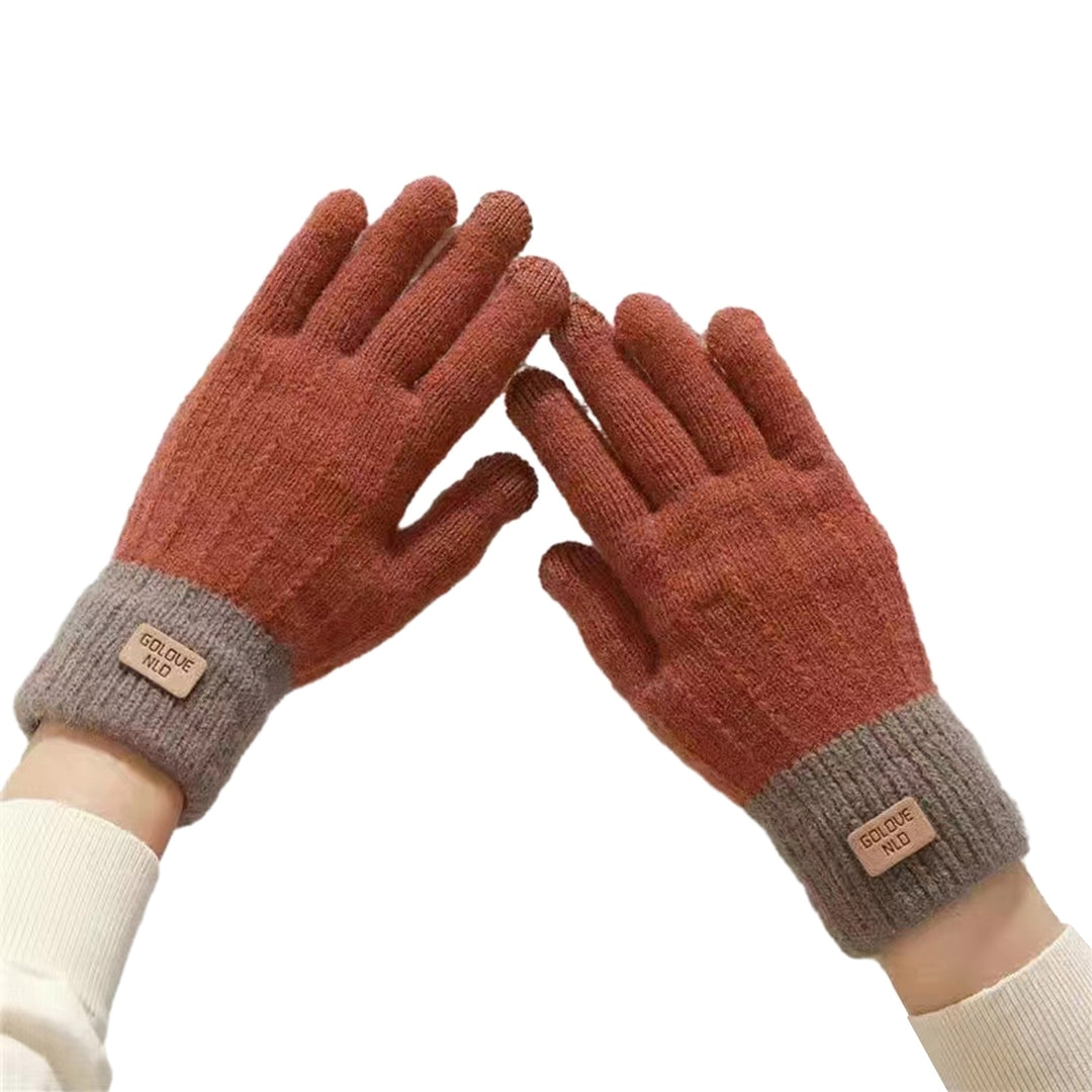 1 Pair Unisex Winter Gloves Thick Touch Screen Windproof Plush Knitted Color Matching Elastic Warm Image 4