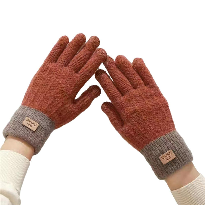 1 Pair Unisex Winter Gloves Thick Touch Screen Windproof Plush Knitted Color Matching Elastic Warm Image 1