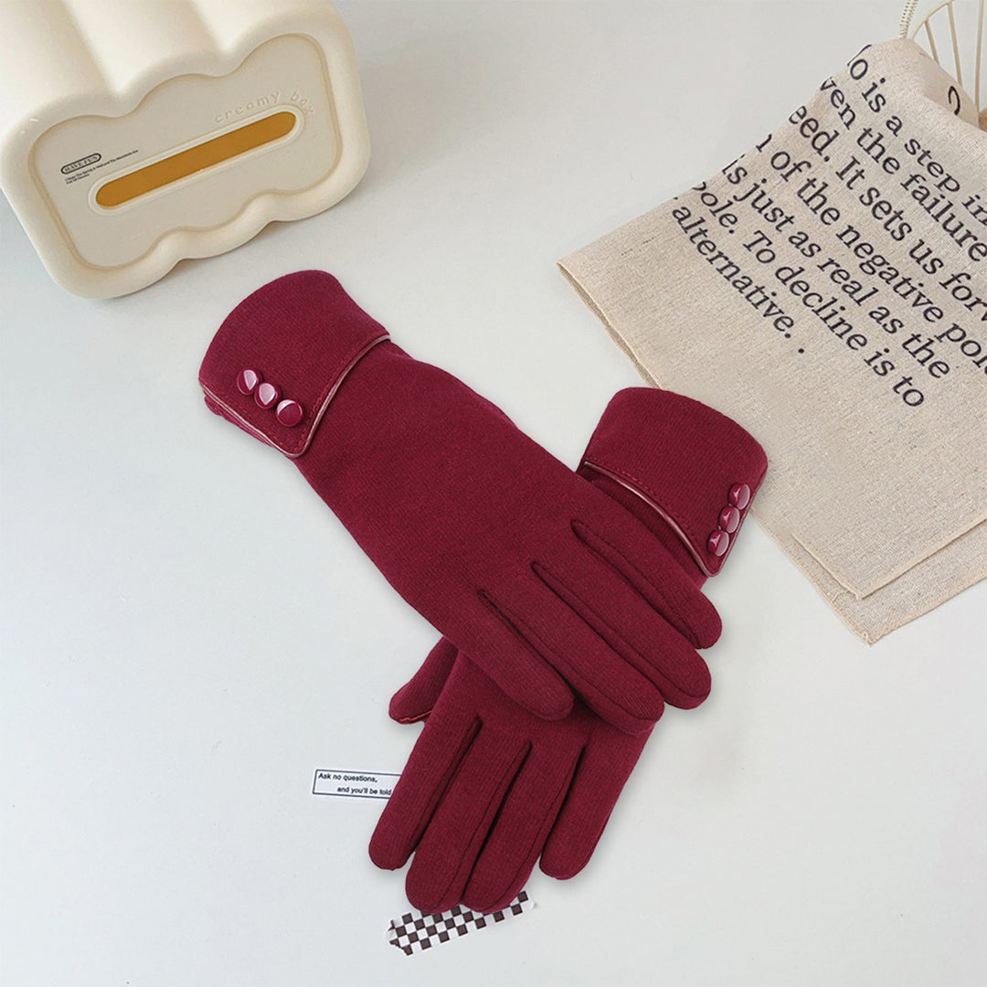 1 Pair Cozy Winter Fleece Gloves Gift Autumn Keep Warm Snow Delicate Design Minimalistic Christmas Gloves Image 9