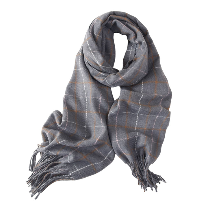 Women Autumn Winter Imitation Cashmere Scarf Plaid Print Thickened Warm Shawl Soft Elegant Tassels Long Scarf Image 4