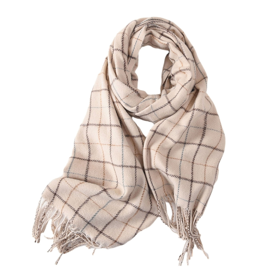 Women Autumn Winter Imitation Cashmere Scarf Plaid Print Thickened Warm Shawl Soft Elegant Tassels Long Scarf Image 7