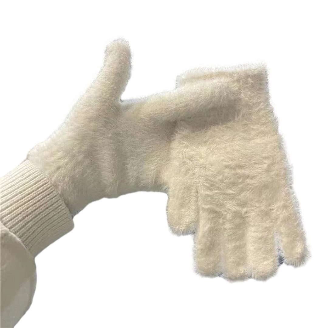 1 Pair Women Winter Riding Gloves Solid Color Thick Velvet Gloves Full Finger Coldproof Warm Gloves Gift Image 3