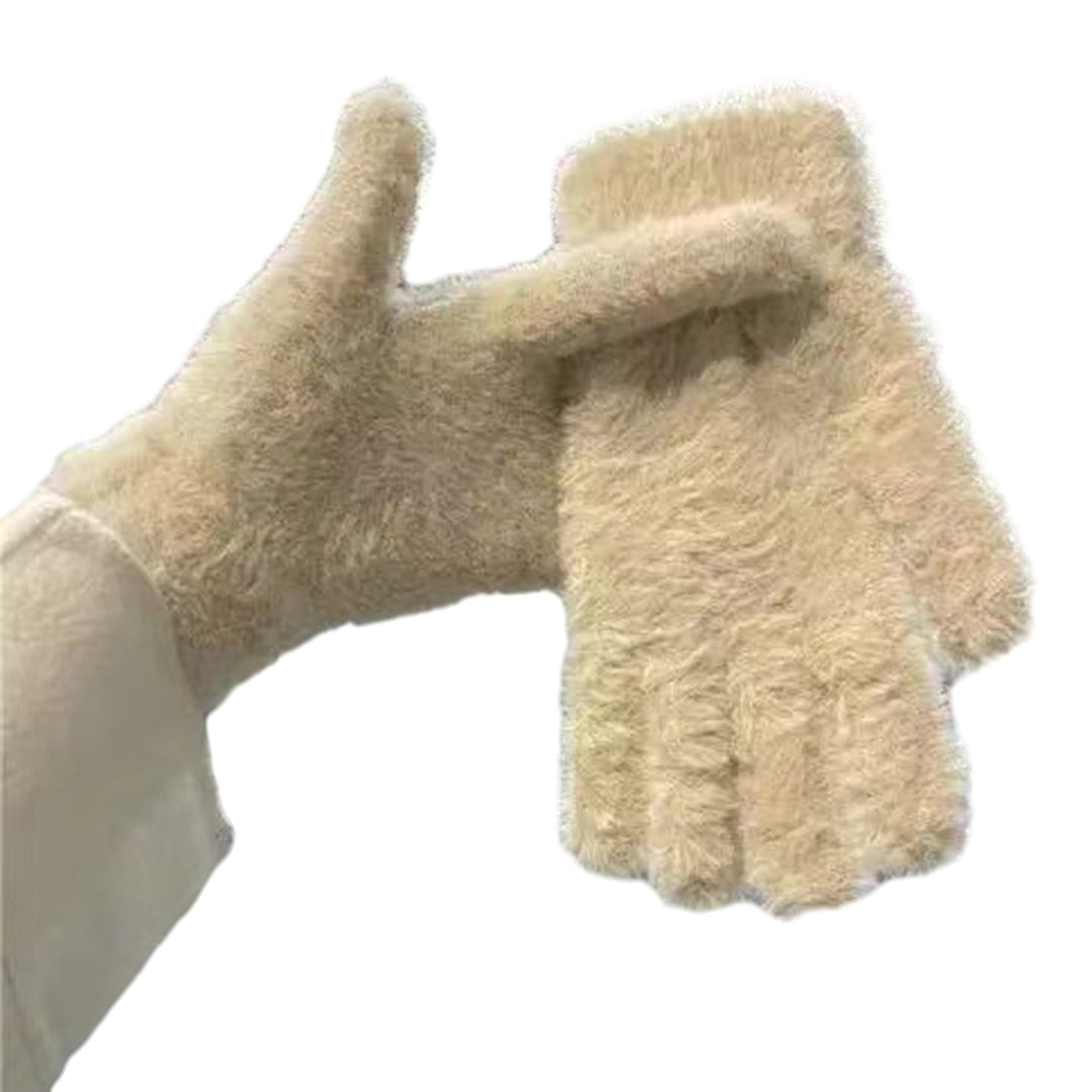 1 Pair Women Winter Riding Gloves Solid Color Thick Velvet Gloves Full Finger Coldproof Warm Gloves Gift Image 4