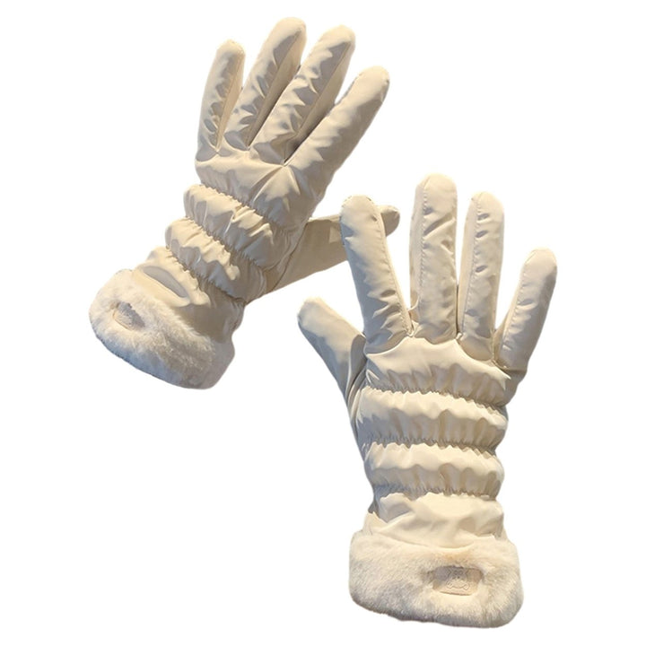 1 Pair Winter Gloves Thick Plush Lining Windproof Warm Cold Resistant Five Fingers Touch Screen Image 1