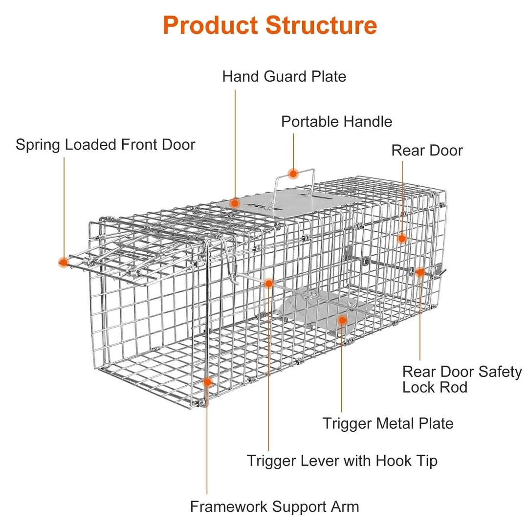 Humane Cat Trap Cage Catch Release Animal Rodent Cage Collapsible Galvanized Wire for Small Raccoons Beavers Groundhogs Image 7