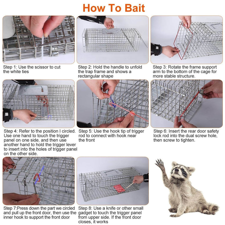 Humane Cat Trap Cage Catch Release Animal Rodent Cage Collapsible Galvanized Wire for Small Raccoons Beavers Groundhogs Image 8