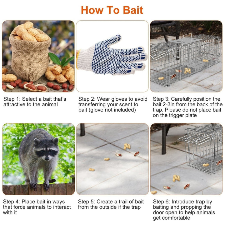 Humane Cat Trap Cage Catch Release Animal Rodent Cage Collapsible Galvanized Wire for Small Raccoons Beavers Groundhogs Image 9