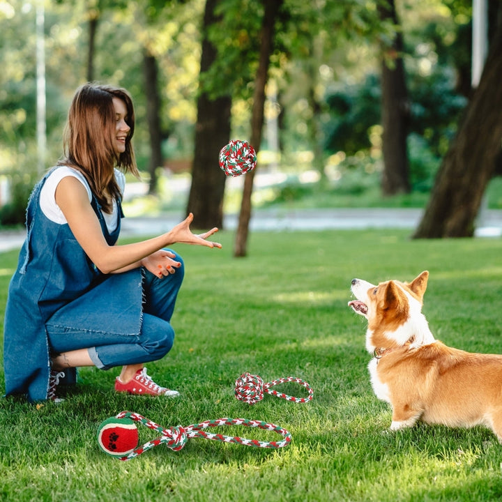 5Pcs Christmas Dog Rope Chew Toys Dog Interactive Toys Set for Puppy Small Medium Aggressive Chewers Dogs Training Image 9