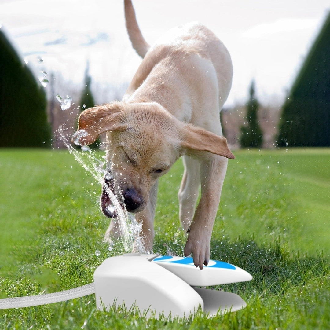 Outdoor Dog Water Fountain Dog Sprinkler Dog Paw Drinking Step on Fountain Dog Toy for Drinking 2 Spray Modes 66in Water Image 8