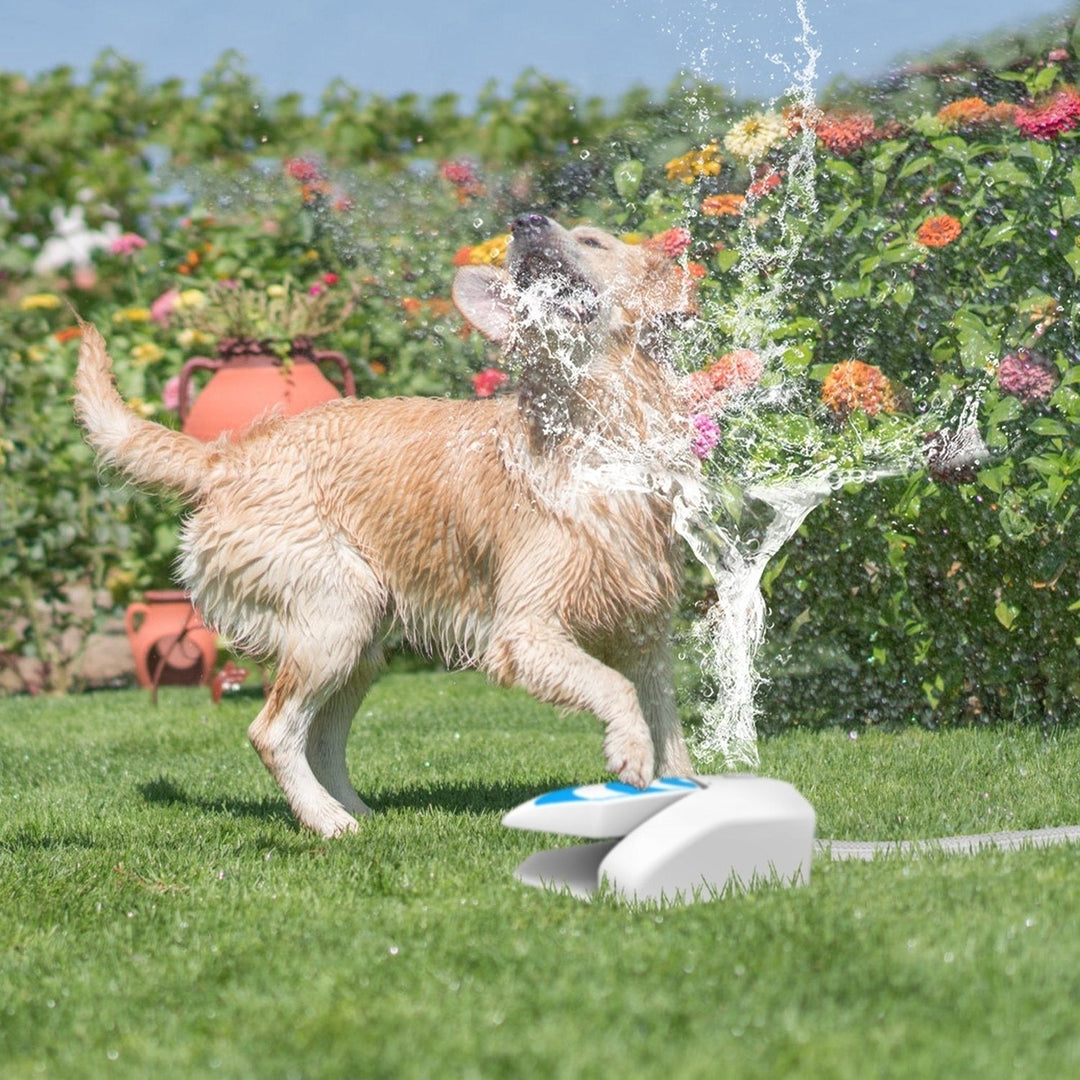 Outdoor Dog Water Fountain Dog Sprinkler Dog Paw Drinking Step on Fountain Dog Toy for Drinking 2 Spray Modes 66in Water Image 9