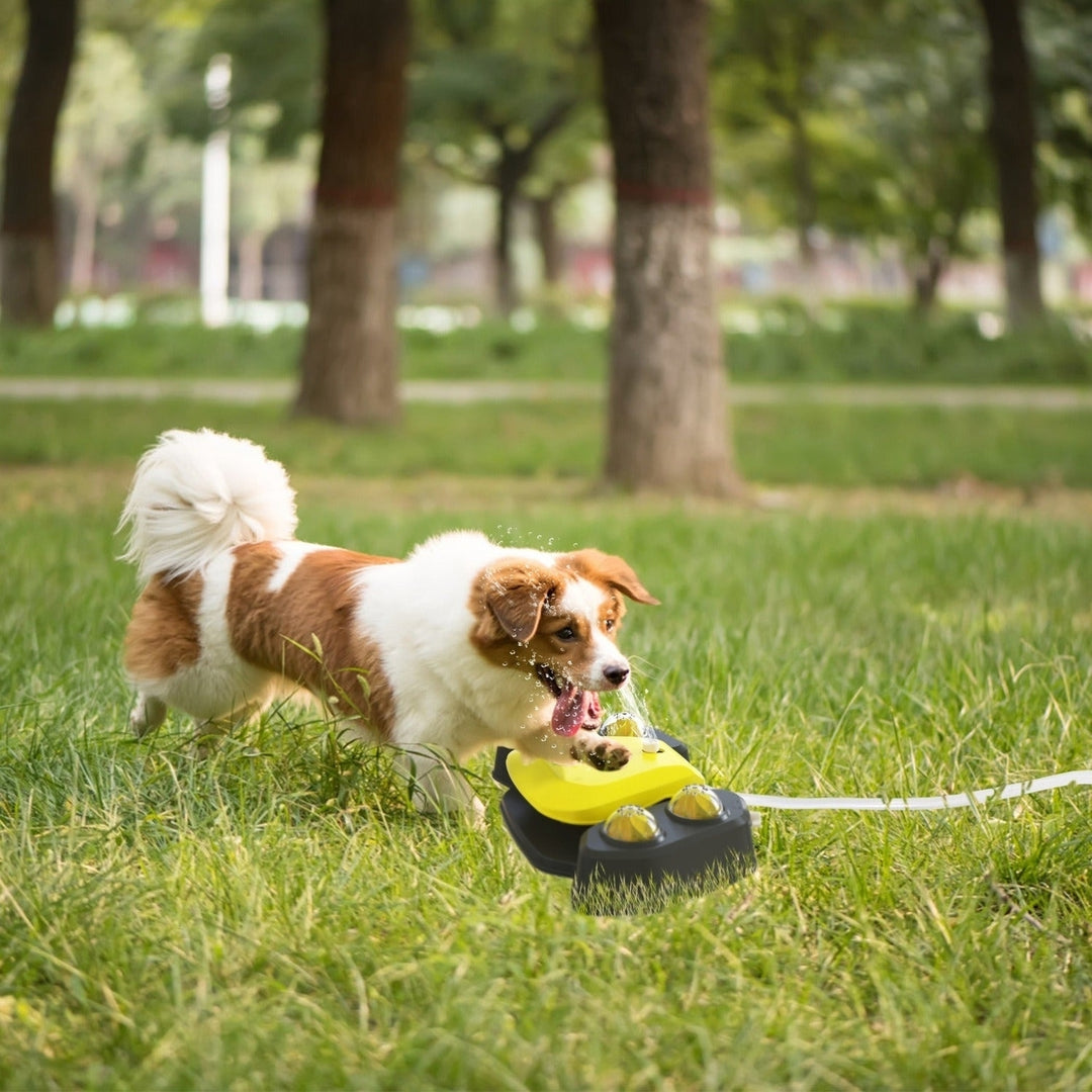 Dog Water Fountain Multifunctional Automatic Pet Water Dispenser Outdoor Step-on Activated Sprinkler for Drinking Shower Image 3