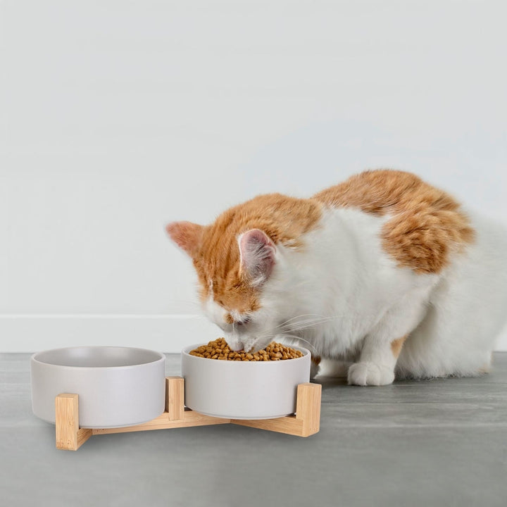 Double 28.7Oz Ceramic Pet Bowls Dog Cat Bowls with Wooden Stand Raised Pet Feeder for Small Dogs Cats Image 9