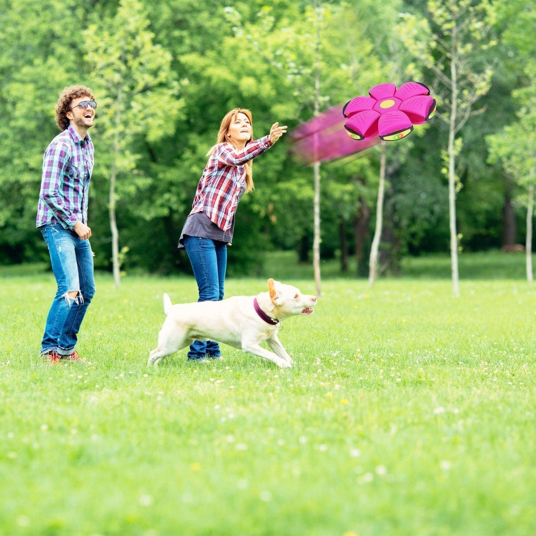 4 Pack Flying Saucer Ball Electric Colorful Flying Toy UFO Ball with LED Lights for Pet Children Outdoor Toy Image 7