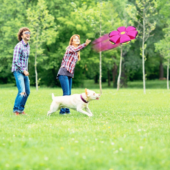 4 Pack Flying Saucer Ball Electric Colorful Flying Toy UFO Ball with LED Lights for Pet Children Outdoor Toy Image 7