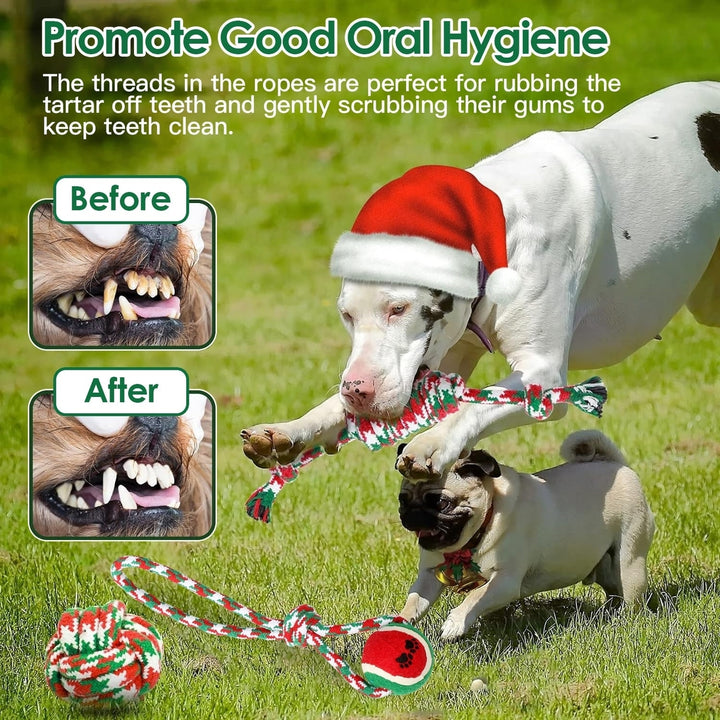 5Pcs Christmas Dog Rope Chew Toys Dog Interactive Toys Set for Puppy Small Medium Aggressive Chewers Dogs Training Image 6