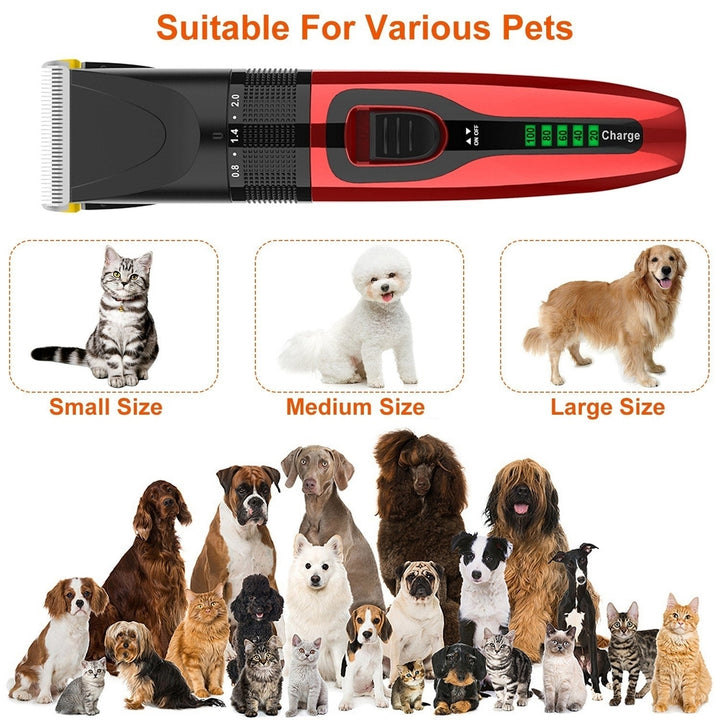 Pet Grooming Kit Rechargeable Cordless Dog Grooming Clippers Low Noise Electric Dog Trimmer Shaver Hair Cutter with 4 Image 4