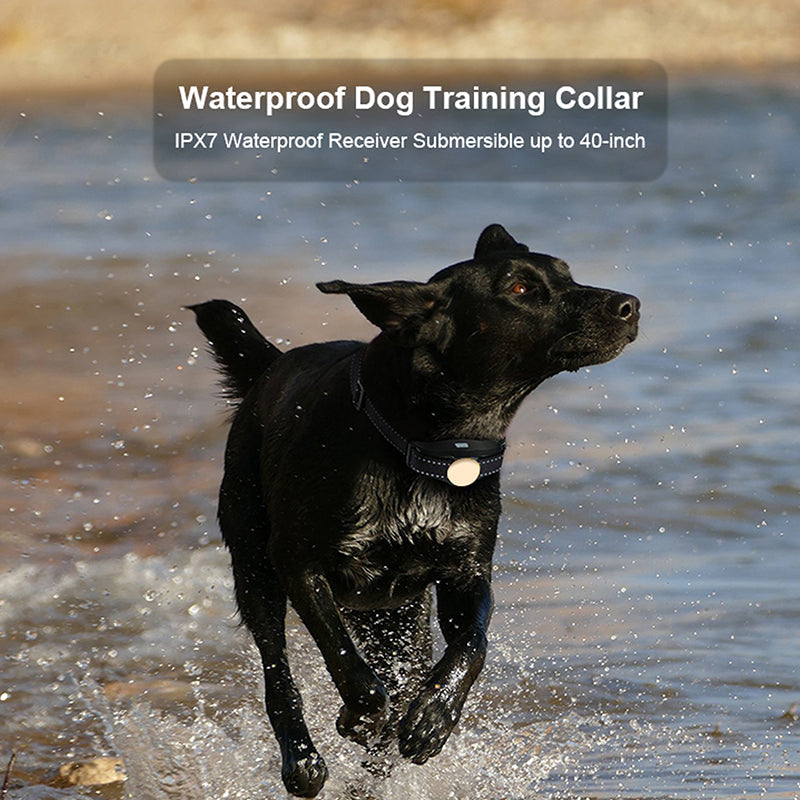 Waterproof Dog Shock Training Collar Rechargeable LCD Remote Control 330 Yards Image 6