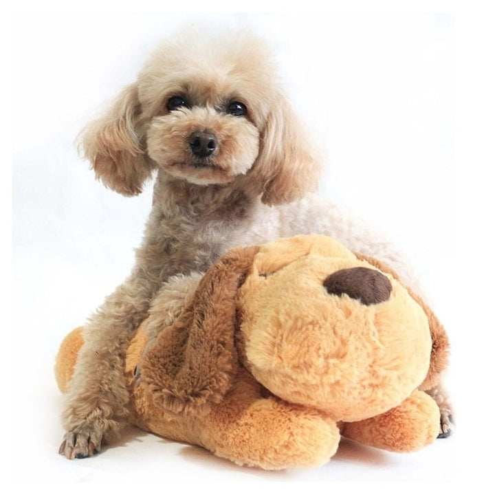 Pet Puppy Soft Plush Toy Heartbeat Sleeping Buddy Dog Behavioral Training Aid Image 4